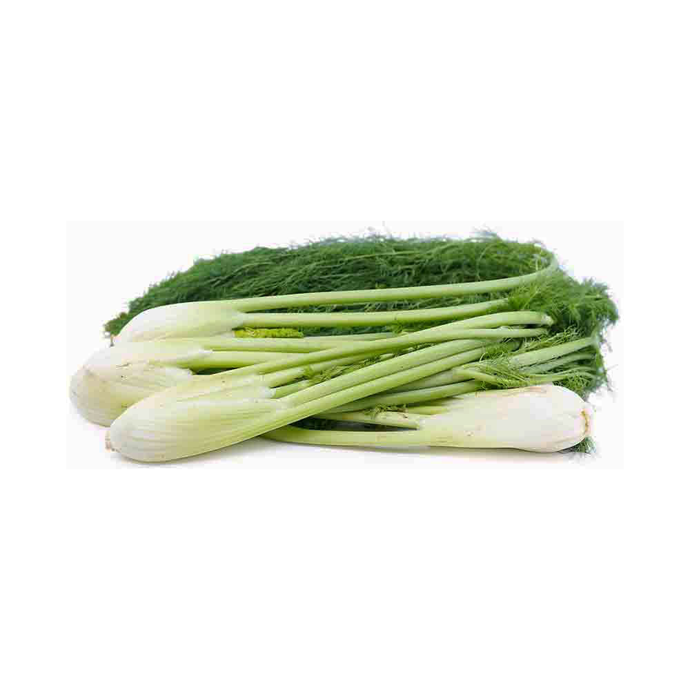 Fennel