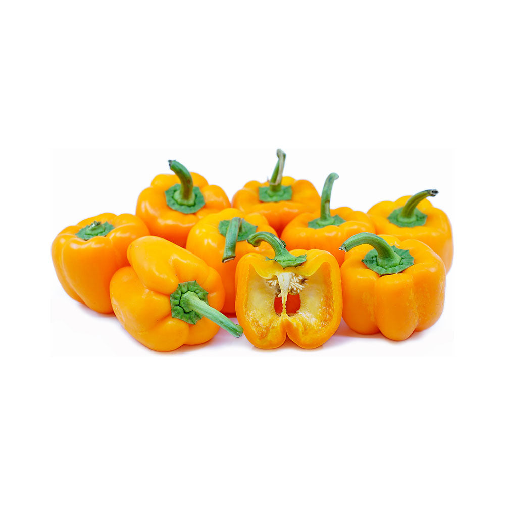 Orange Bell Pepper