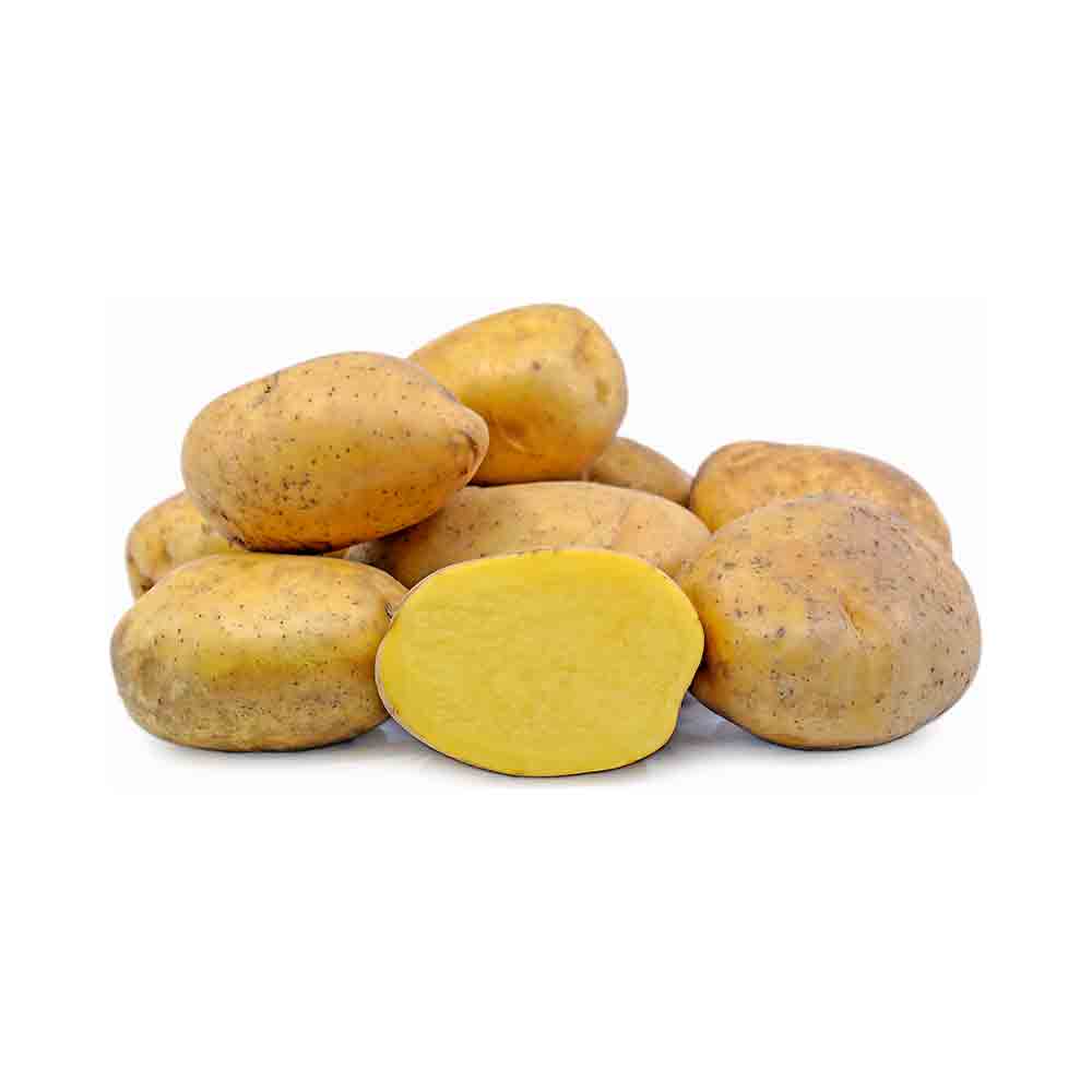 Potato Yukon