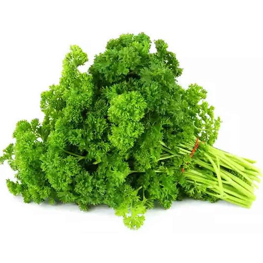 American Parsley