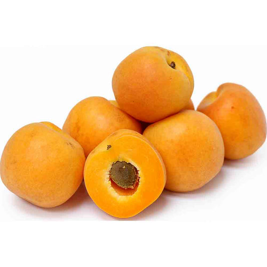 Apricot