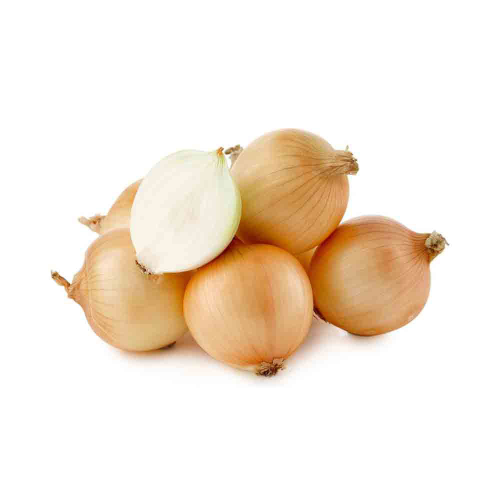 Brown Onion