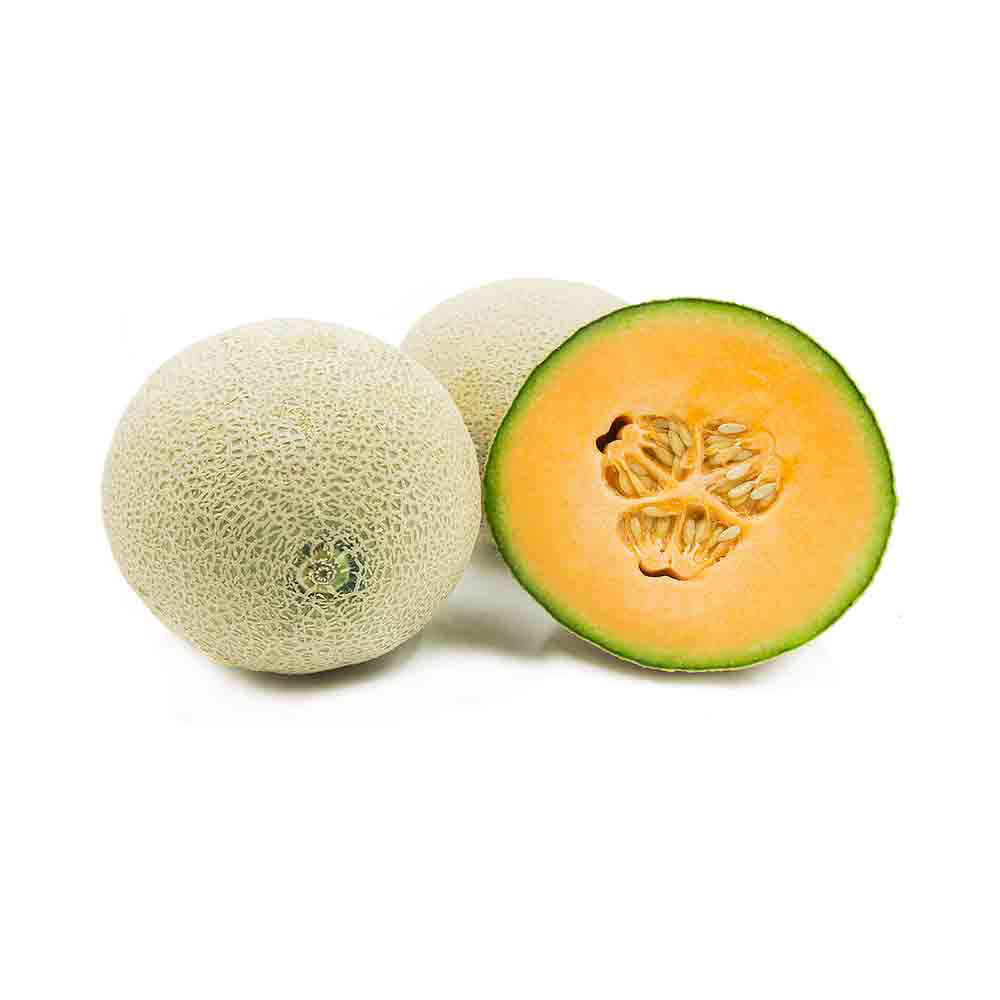 Cantaloupe