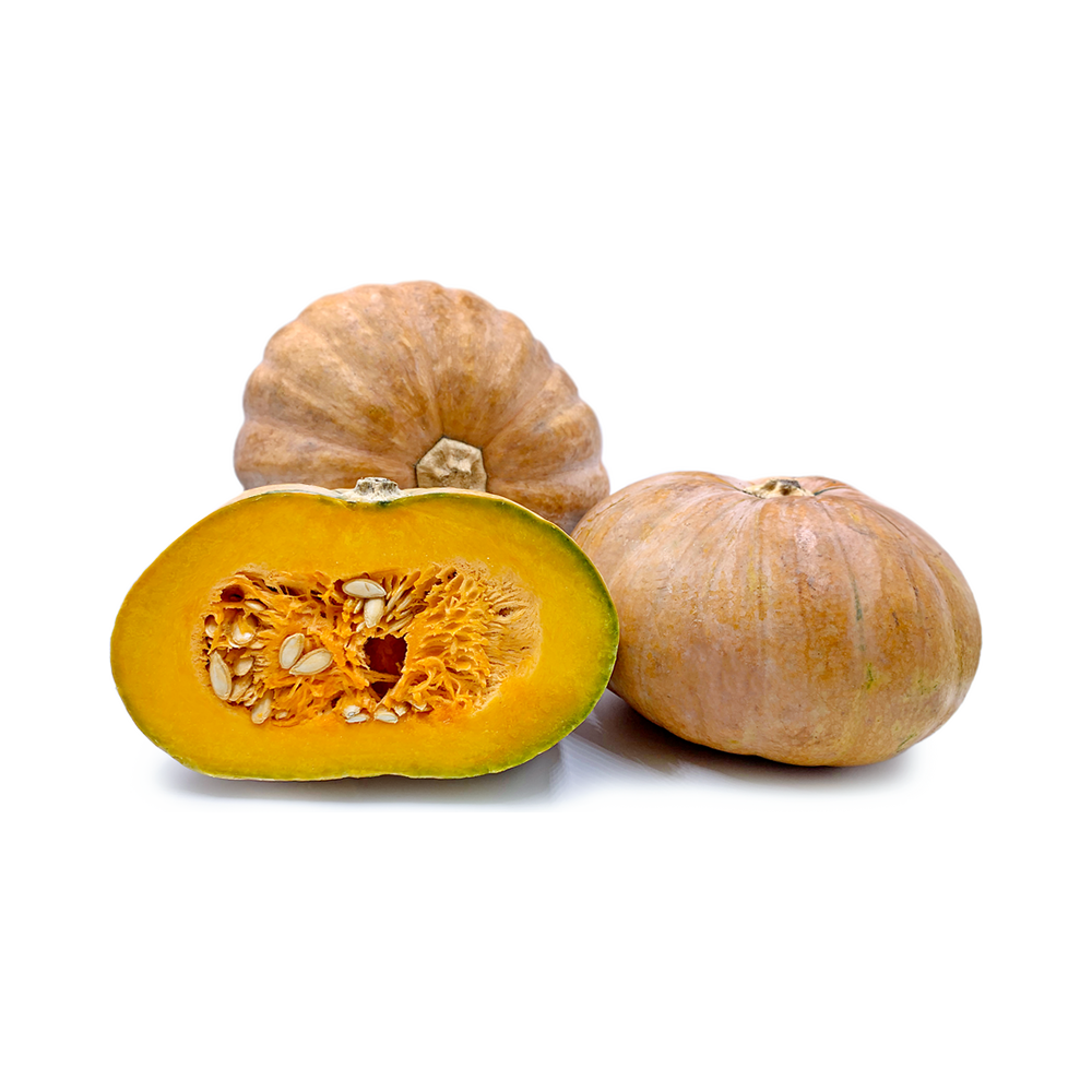 Castilla Squash