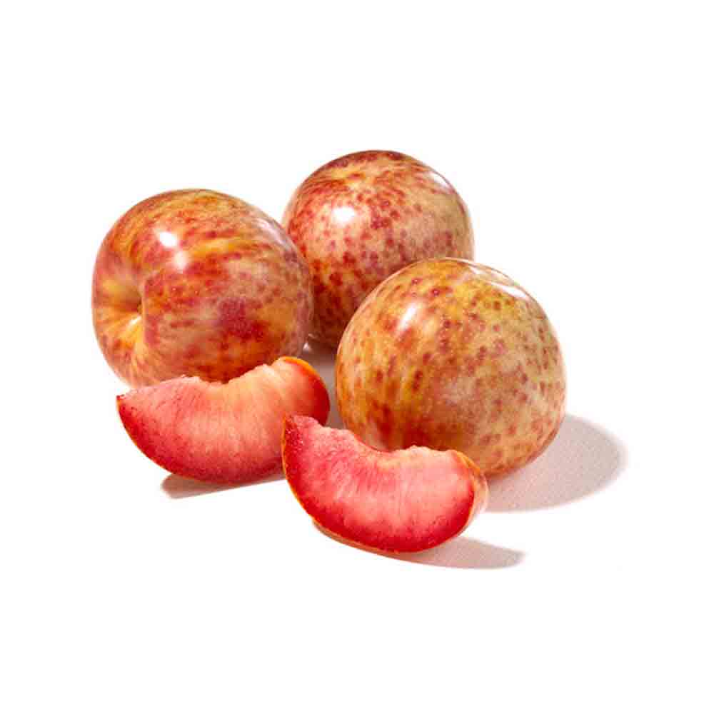 Dinosaur Plum