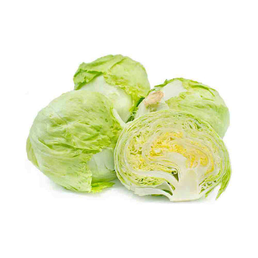 Iceberg Lettuce