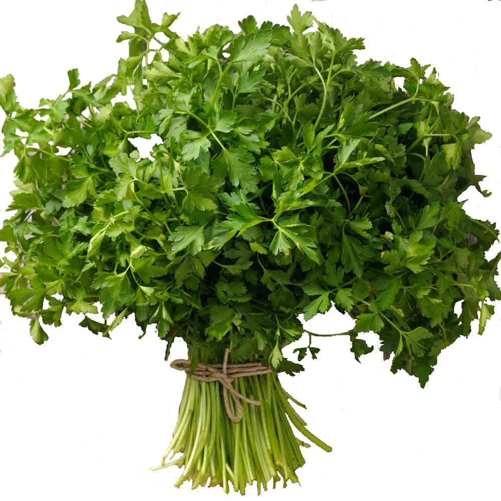 Italian Parsley