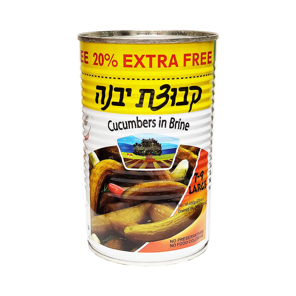 Kvuzat Yavne Large Cucumbers in Brine  7-9