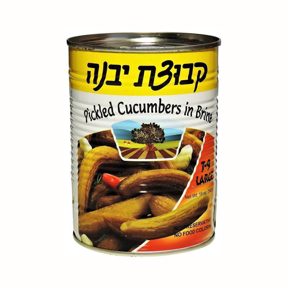 Kvuzat Yavne Large 7-9 Pickled Cucumber in Brine 19 oz