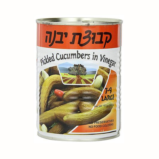 Kvutzat Yavne Large 7-9 Pickled Cucumber in vinegar 19 oz