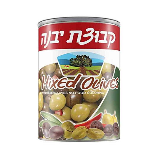 Kvuzat Yavne Mixed Olives 19 oz