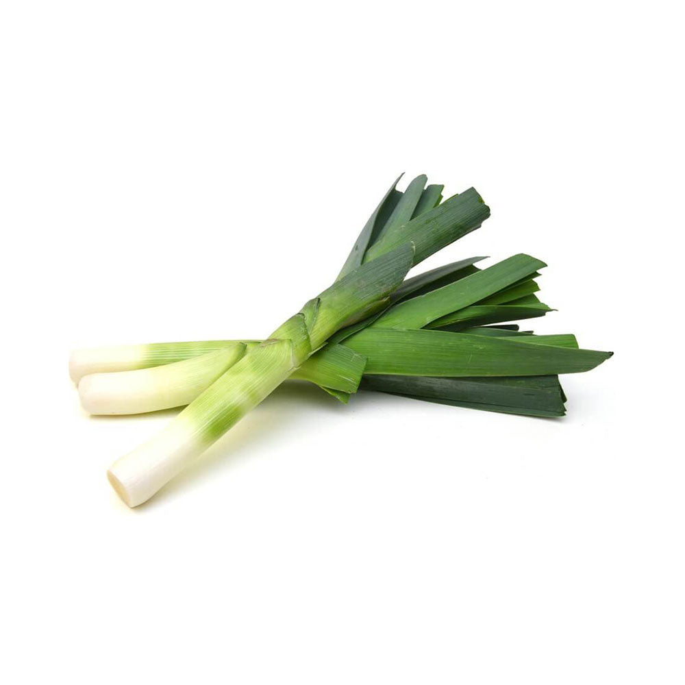 Leek