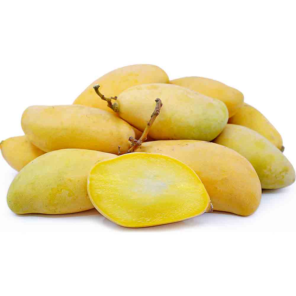 Manila Mango