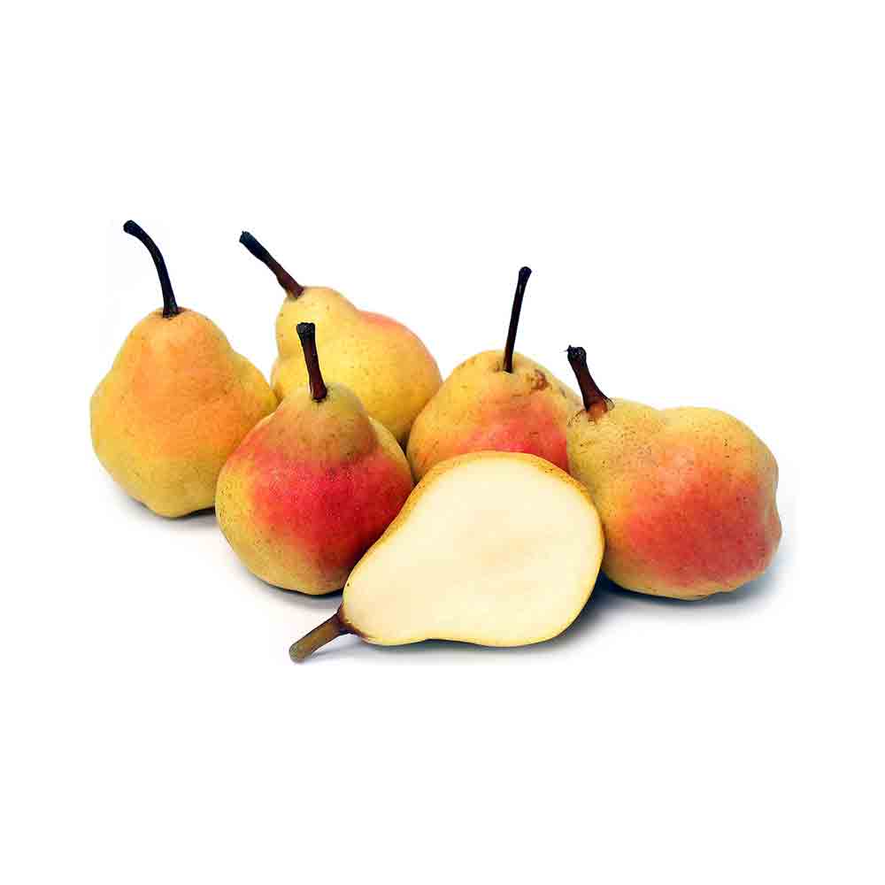 Pears Bartlett