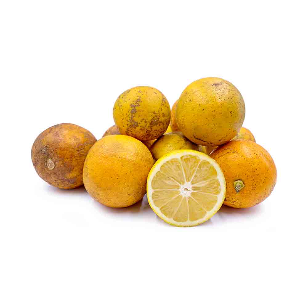 Sour Orange