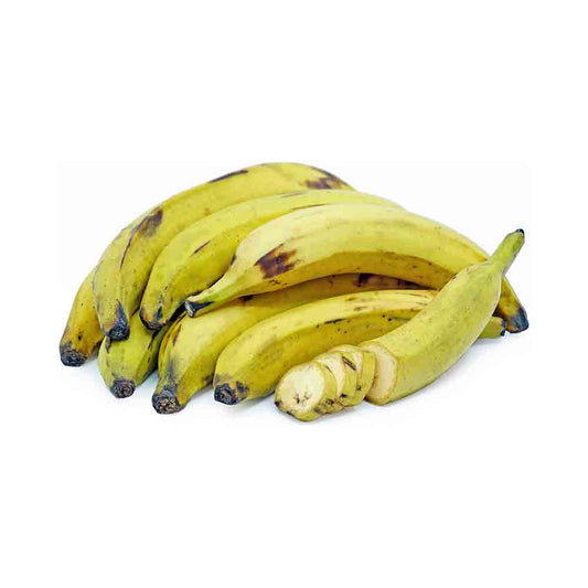 Spanish Macho Banana