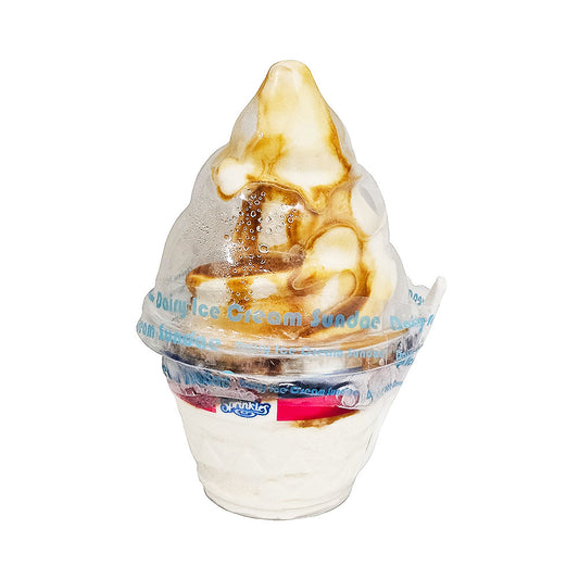Sprinkles Vanilla Ice Cram with Caramel Topping 9.5 oz