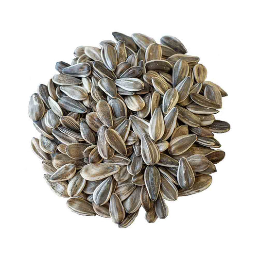 Sunflower Seeds Raw