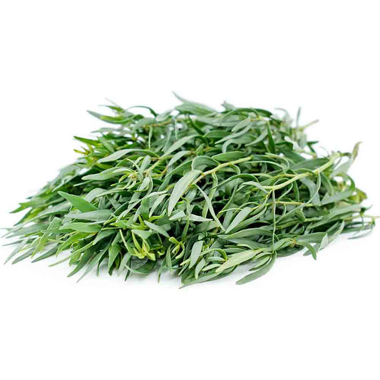 Tarragon