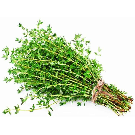 Thyme