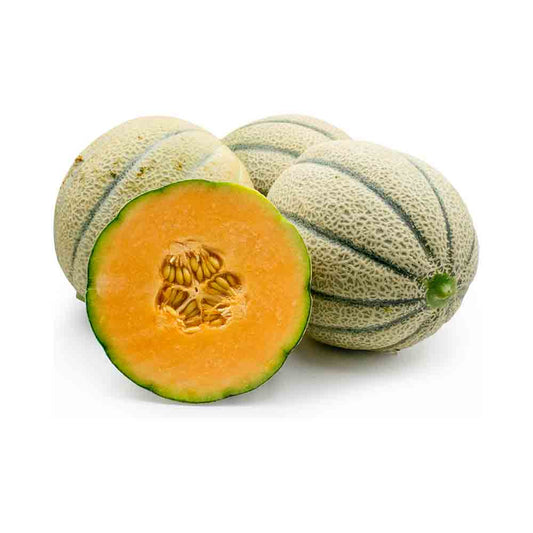 Tuscan Melon