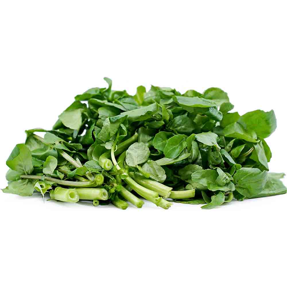 Watercress - (Shahi)