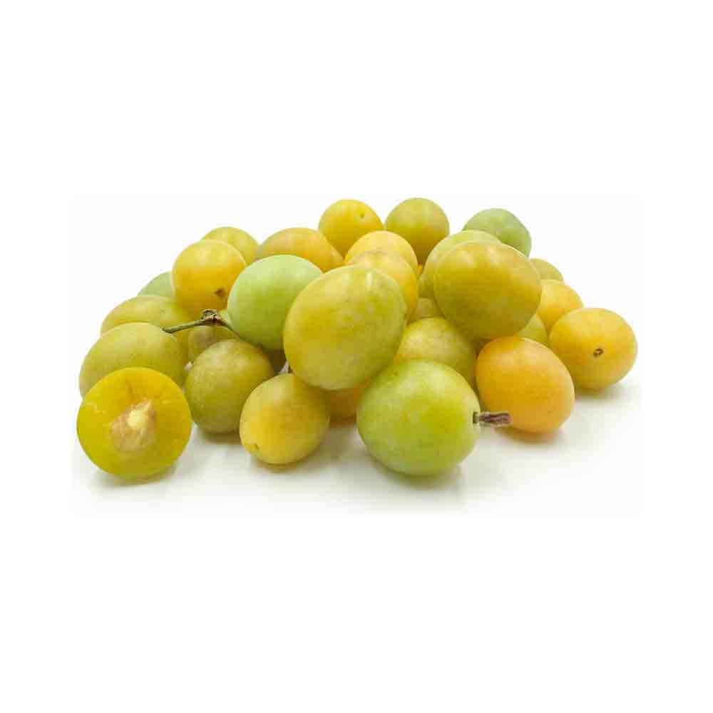 Yellow Plum