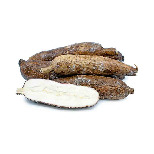 Yucca Root