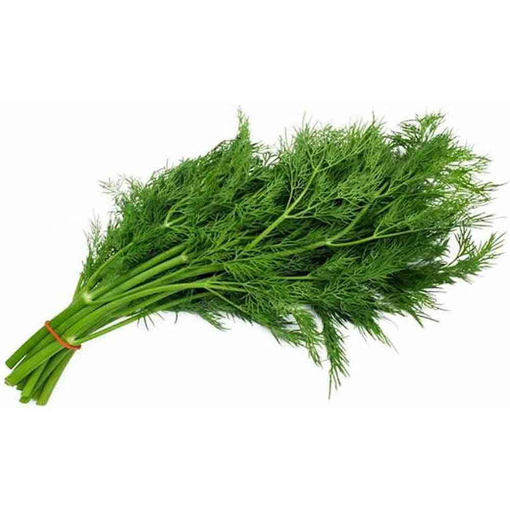 Dill